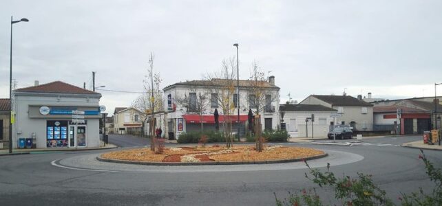 Sapins de Bègles